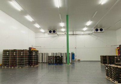 阆中仓储物流库 高效仓储代理服务的全方位解决方案